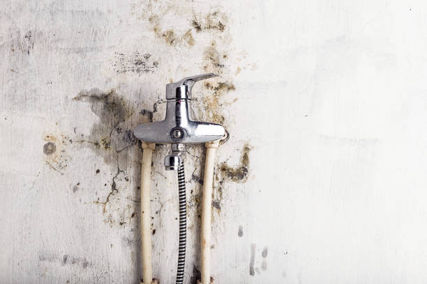 Best Office Mold Removal Services  in Paddock Lake, WI