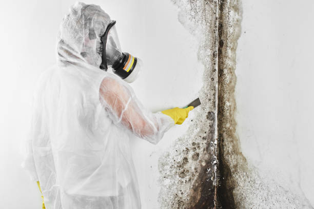 Crawl Space Mold Removal in Paddock Lake, WI