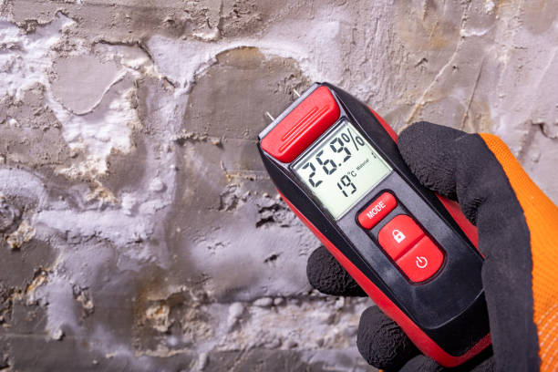 Water Damage Restoration in Paddock Lake, WI