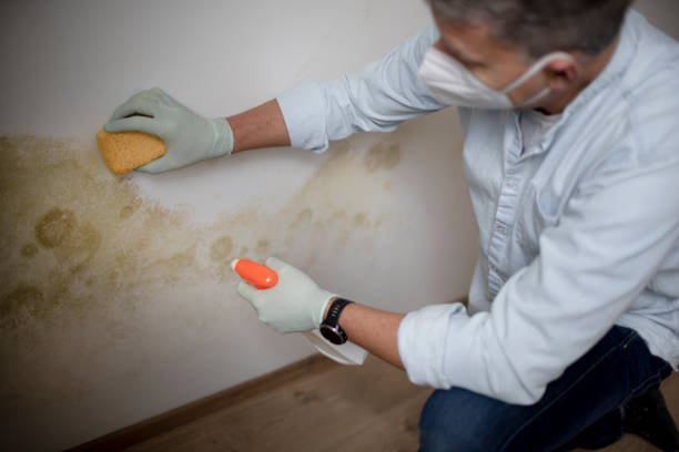 Water Damage Restoration in Paddock Lake, WI