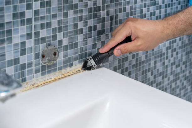 Best Mold Testing  in Paddock Lake, WI